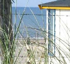 kitesurfen strand noordwijk