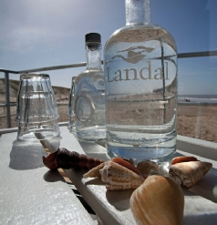 Plankier strandhuisje