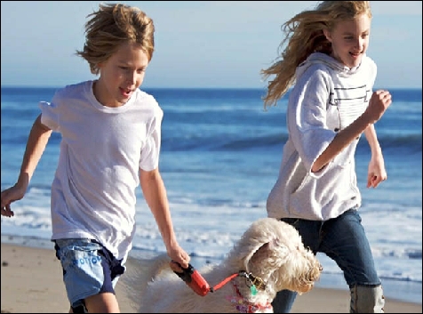 Honden zijn welkom bij Key West strandhuisjes