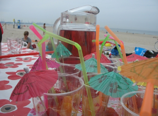 Strand Hoek van Holland