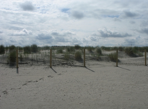 Strand Hoek van Holland